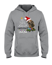 Is This Jolly Enough 2020 Hooded Sweatshirt tile