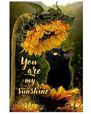 You are my sunshine 11x17 Poster front