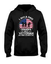 I'm A Dad -Grandpa And A Veteran Hooded Sweatshirt tile