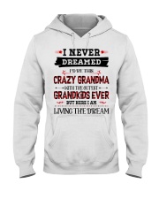 I Never Dream Grandma Hooded Sweatshirt tile