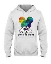 Amazing Love Is Love Hooded Sweatshirt tile