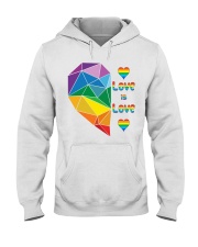 Amazing Love Is Love Hooded Sweatshirt tile