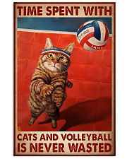 Volleyball And Cat 11x17 Poster front