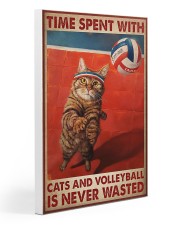 Volleyball And Cat Gallery Wrapped Canvas Prints tile