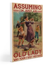 Softball - Assuming I'm Just An Old Lady 20x30 Gallery Wrapped Canvas Prints thumbnail