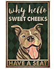 Pitbull why hello sweet cheeks have a seat poster 11x17 Poster front