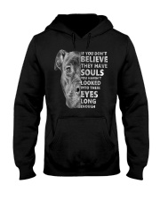toto Hooded Sweatshirt front