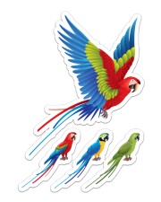 77Limited Sticker - Single (Vertical) front