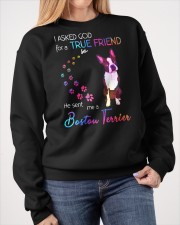 Boston Terrier Crewneck Sweatshirt apparel-crewneck-sweatshirt-lifestyle-front-40