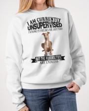 Greyhound Crewneck Sweatshirt apparel-crewneck-sweatshirt-lifestyle-front-40