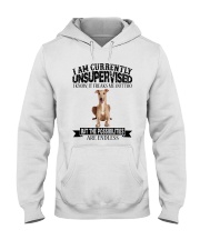 Greyhound Hooded Sweatshirt tile