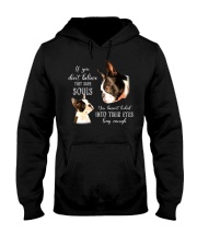 Boston Terrier Hooded Sweatshirt tile