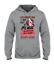 Beagle Hooded Sweatshirt tile
