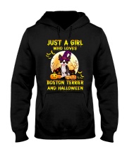 Boston Terrier Hooded Sweatshirt front