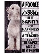Poodle 16x24 Poster front