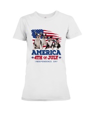 Boston Terrier T17 Premium Fit Ladies Tee tile