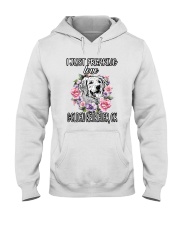 Golden Retriever Hooded Sweatshirt tile