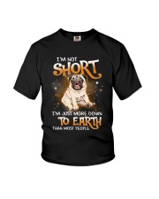 Pug D010 Youth T-Shirt tile