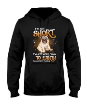 Pug D010 Hooded Sweatshirt front