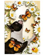 Boston Terrier 24x36 Poster front