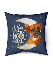 Boxer Indoor Pillow - 16” x 16” back