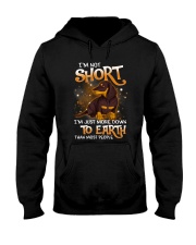 Dachshund D6 Hooded Sweatshirt tile
