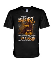 Dachshund D6 V-Neck T-Shirt tile