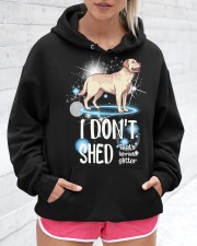 Labrador Hooded Sweatshirt custom-hoodie-sweatshirt-lifestyle-front-275