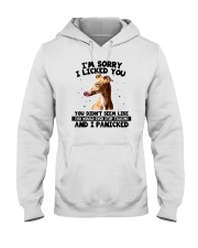 Greyhound Hooded Sweatshirt tile
