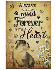 Bulldog03 24x36 Poster front