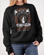 Boston Terrier Crewneck Sweatshirt apparel-crewneck-sweatshirt-lifestyle-front-40
