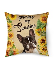 Bulldog Indoor Pillow - 16” x 16” back