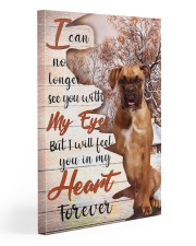 Boxer Canvas Gallery Wrapped Canvas Prints tile