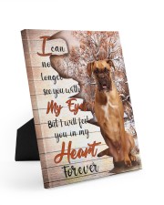 Boxer Canvas 8x10 Easel-Back Gallery Wrapped Canvas front