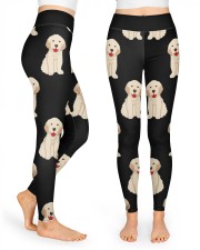Labrador High Waist Leggings front