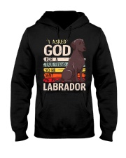 Labrador Hooded Sweatshirt front
