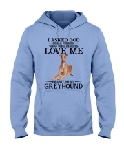 Greyhound Hooded Sweatshirt front
