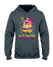 Basset Hound Hooded Sweatshirt front