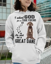 Great Dane Hooded Sweatshirt apparel-hooded-sweatshirt-lifestyle-front-102