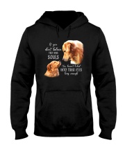 Golden Retriever Hooded Sweatshirt tile