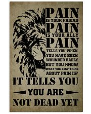 LION - PAIN 16x24 Poster front