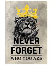 LION - NEVER FORGET 16x24 Poster front