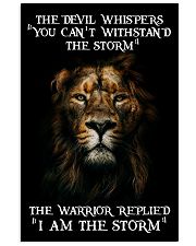 LION 16x24 Poster front