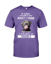 PIT BULL in trouble Premium Fit Mens Tee tile