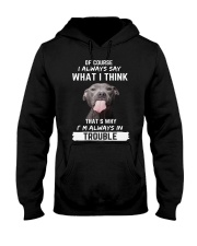 PIT BULL in trouble Hooded Sweatshirt tile