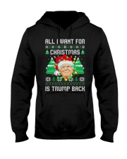 Trump back Hooded Sweatshirt front