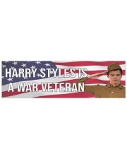 Harry style Bumper Sticker front