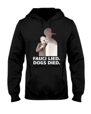 Fauci lied Hooded Sweatshirt front