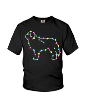 Christmas Lights Xmas Dog Bernese Mountain Dog Youth T-Shirt thumbnail