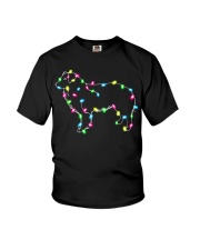 Christmas Lights Xmas Dog Border Collie Youth T-Shirt thumbnail